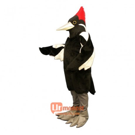 Ivory Billed Woodpecker Cartoon Costume Mascot