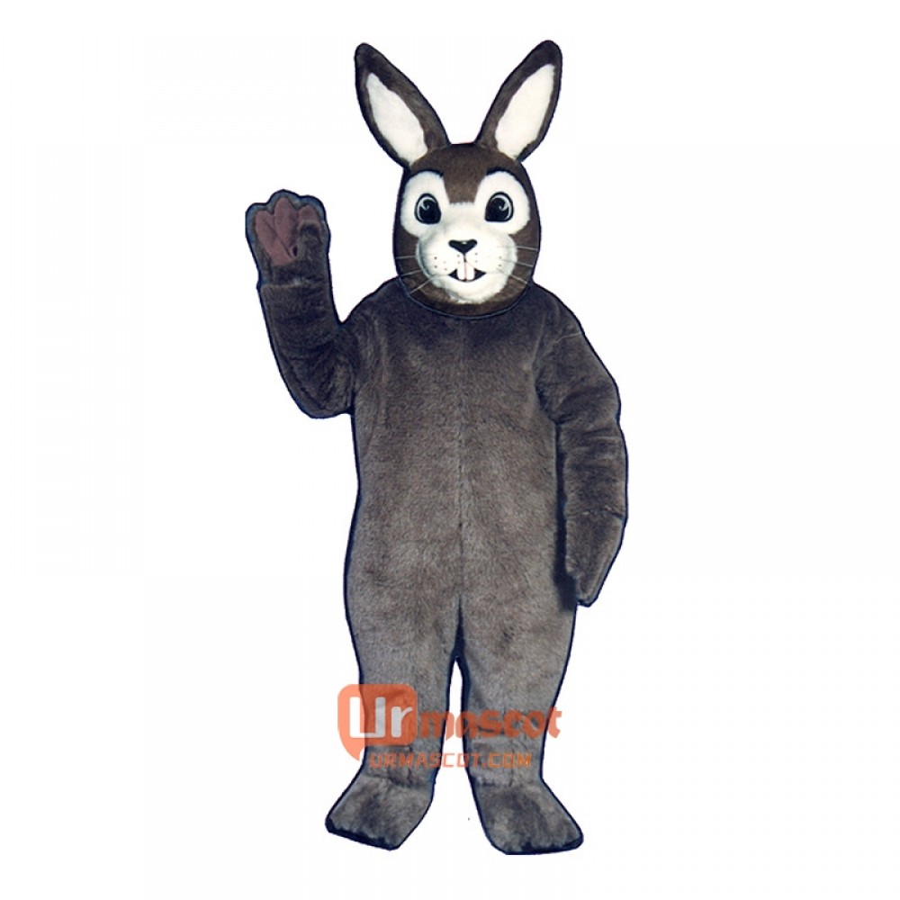 Jack Rabbit Cartoon Costume Mascot