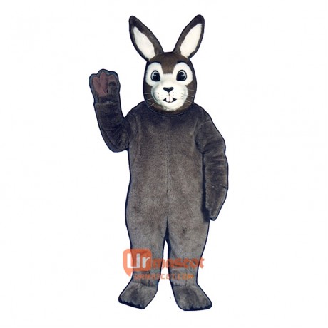 Jack Rabbit Cartoon Costume Mascot