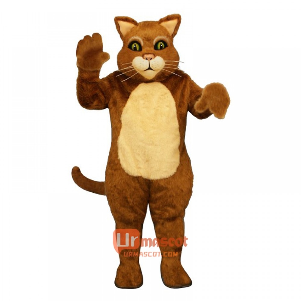 James the Cat Cartoon Costume Mascot