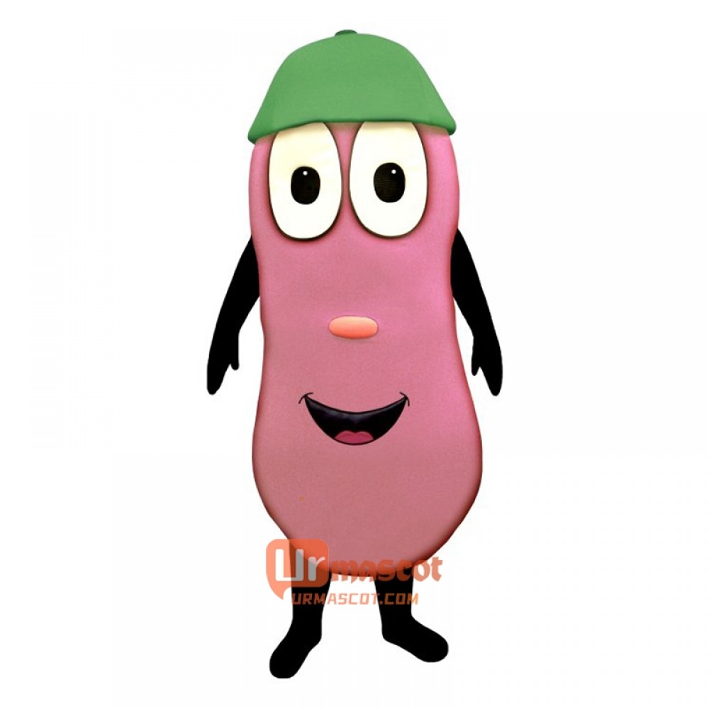 Jelly Bean (Bodysuit not included) Cartoon Costume Mascot