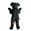 Koala Cartoon Mascot Costume Plush with Mask