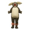 Korey Koala Custom Cartoon Mascot Costume