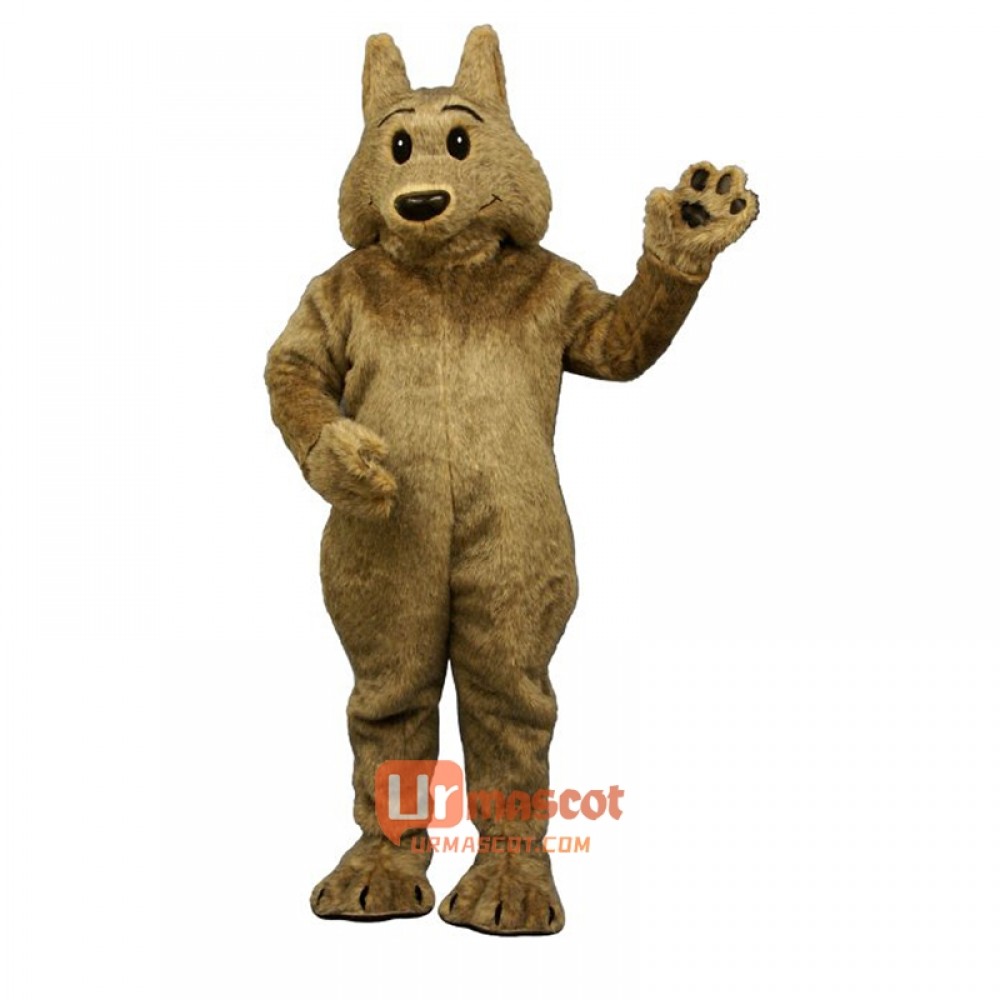 Kyle Koyote Mascot Cartoon Costume