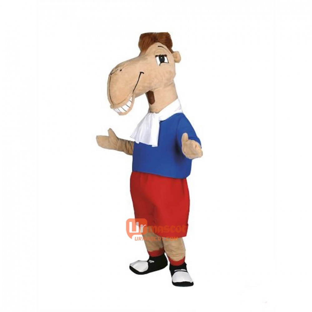 Lama Custom Cartoon Mascot Costume