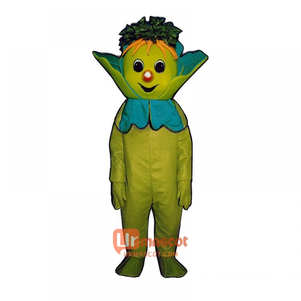 Lenny Lettuce 3003-Z Cartoon Costume Mascot