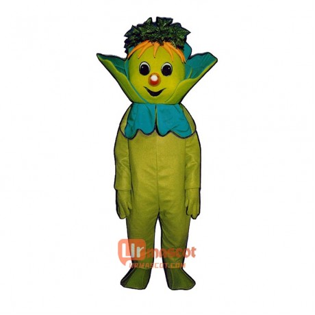 Lenny Lettuce 3003-Z Cartoon Costume Mascot