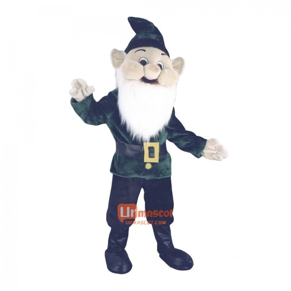 Leprechaun Cartoon Mascot Costume Plush with Mask High Quality