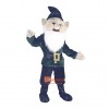 Leprechaun Cartoon Mascot Costume Plush with Mask High Quality