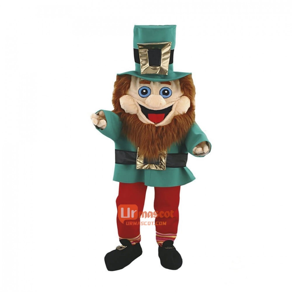 Leprechaun Custom Cartoon Mascot Costume
