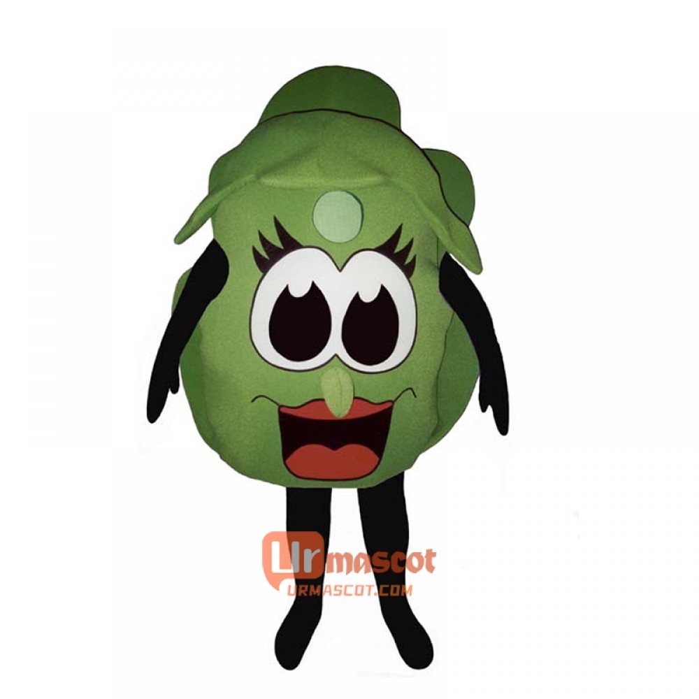 Lettuce (Bodysuit not included) Cartoon Costume Mascot