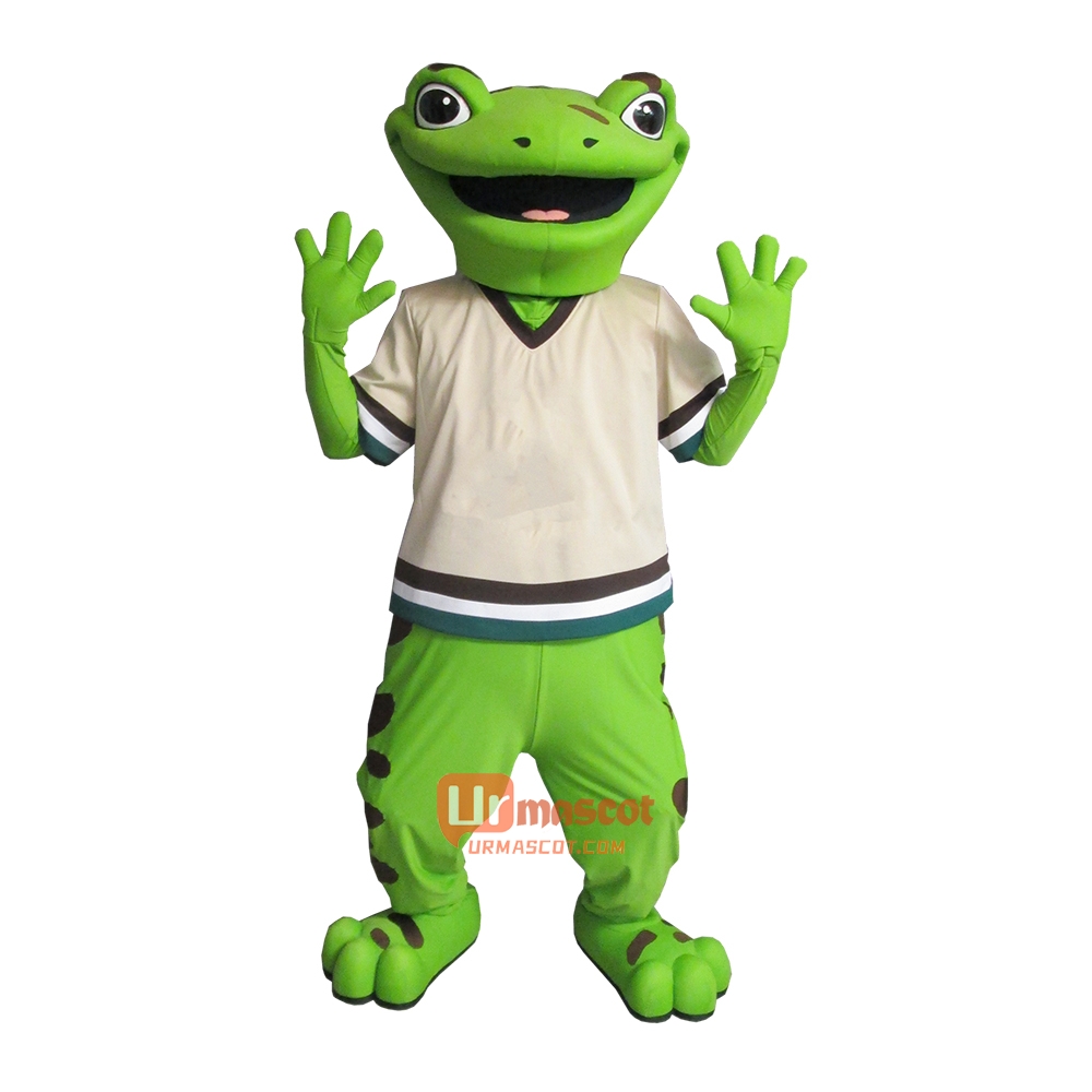 Lovely and Handsome Frog Custom Cartoon Mascot Costume