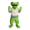 Lovely and Handsome Frog Custom Cartoon Mascot Costume