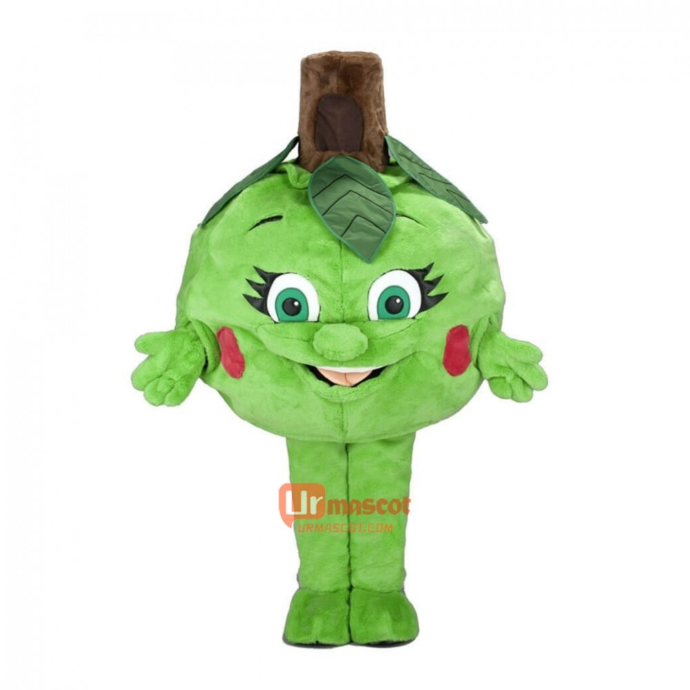 Lovely Artichoke Custom Cartoon Mascot Costume