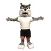 Lovely Bulldog Mascot Costume Cosplay Outfits