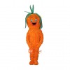Lovely Carrot Custom Cartoon Mascot Costume