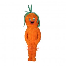 Lovely Carrot Custom Cartoon Mascot Costume