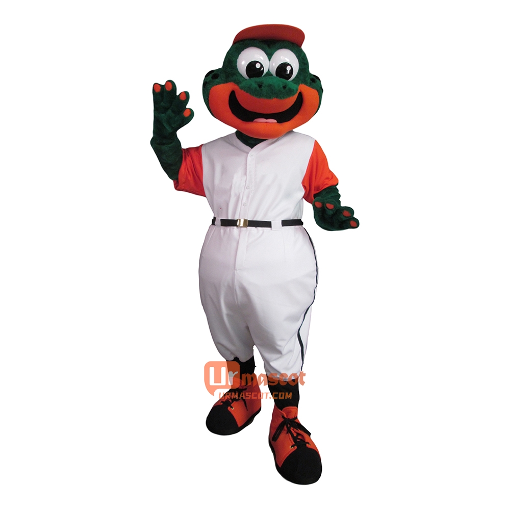 Lovely Charming Handsome Frog Custom Cartoon Mascot Costume