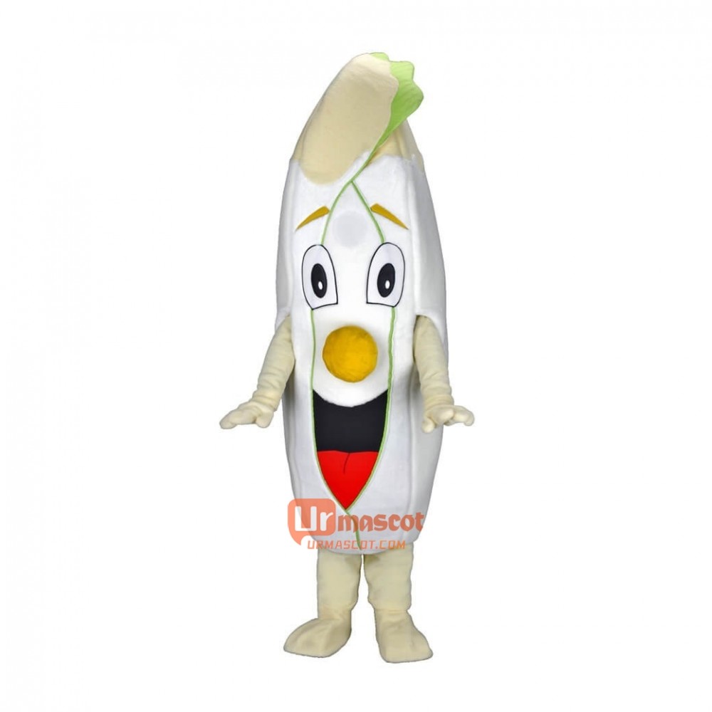 Lovely Custom Cartoon Mascot Costume Endive