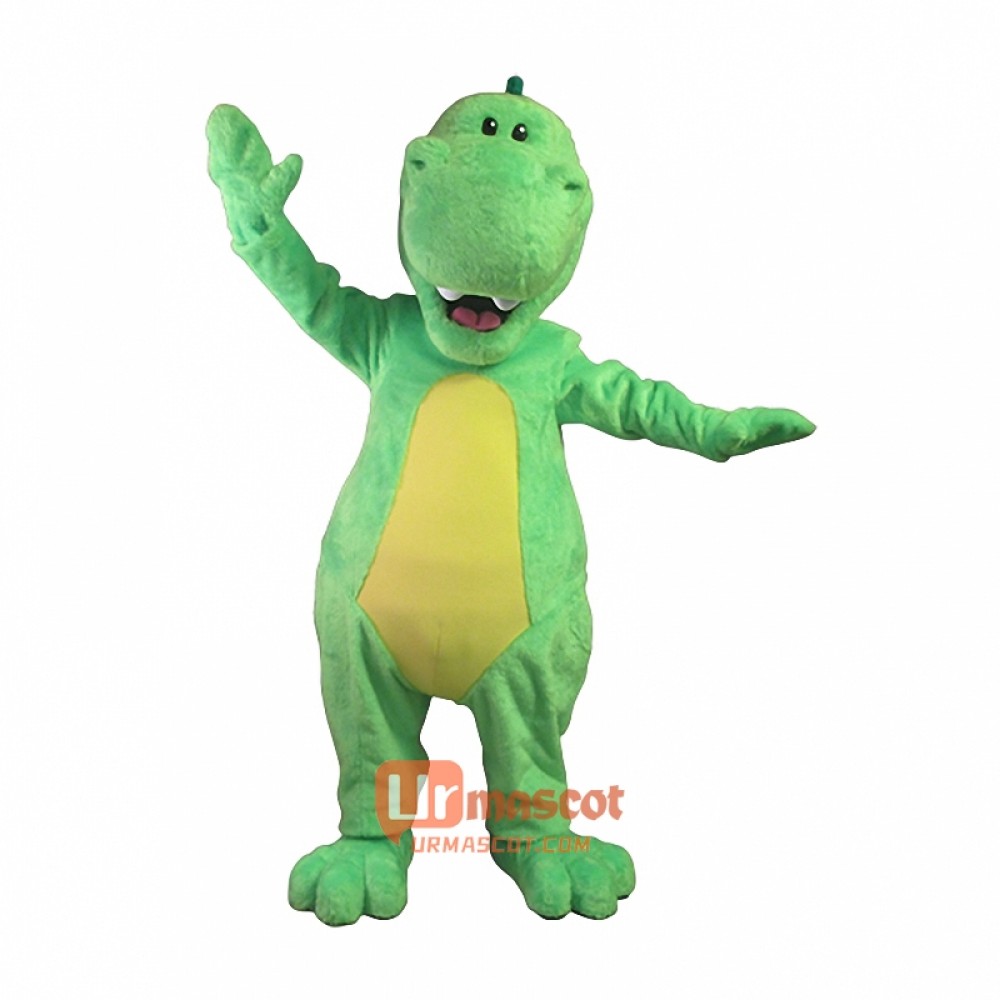 Lovely Dinosaur Custom Cartoon Mascot Costume