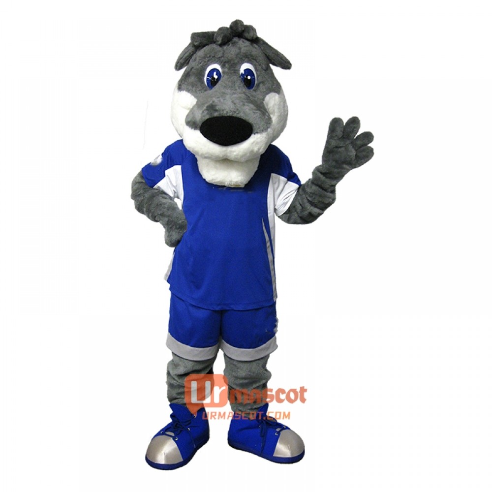 Lovely Dog Friendly Dog Custom Cartoon Mascot Costume