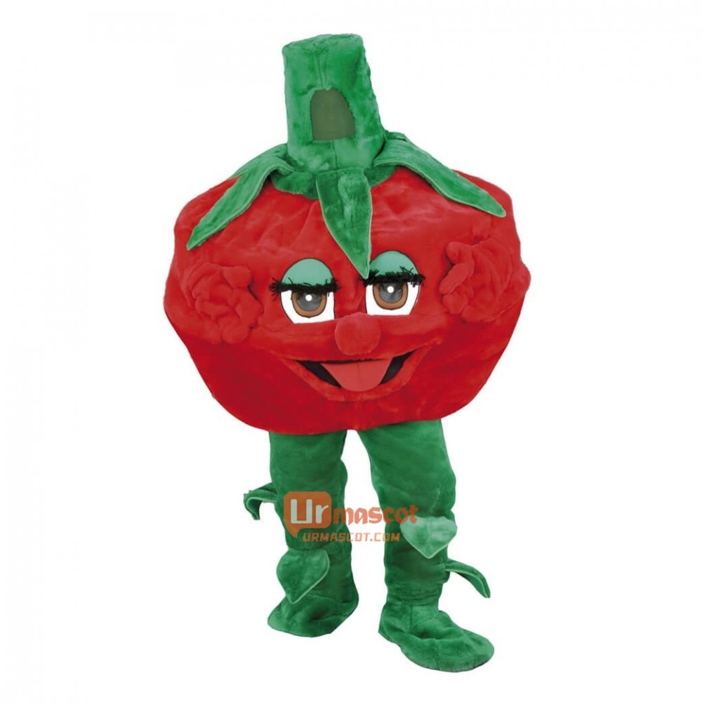 Lovely Raspberry Custom Cartoon Mascot Costume