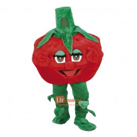 Lovely Raspberry Custom Cartoon Mascot Costume