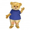 Lovely Teddy Custom Cartoon Mascot Costume