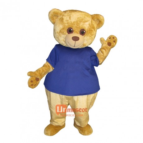 Lovely Teddy Custom Cartoon Mascot Costume