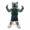 Lucky Dog Custom Cartoon Mascot Costume