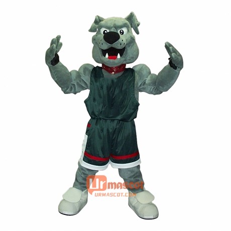 Lucky Dog Custom Cartoon Mascot Costume