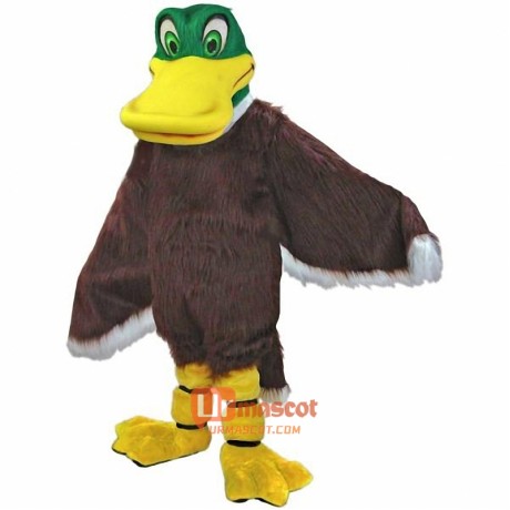 Mallard Duck Cartoon Mascot Costume