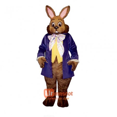 Mr. Brown Bunny Cartoon Costume Mascot