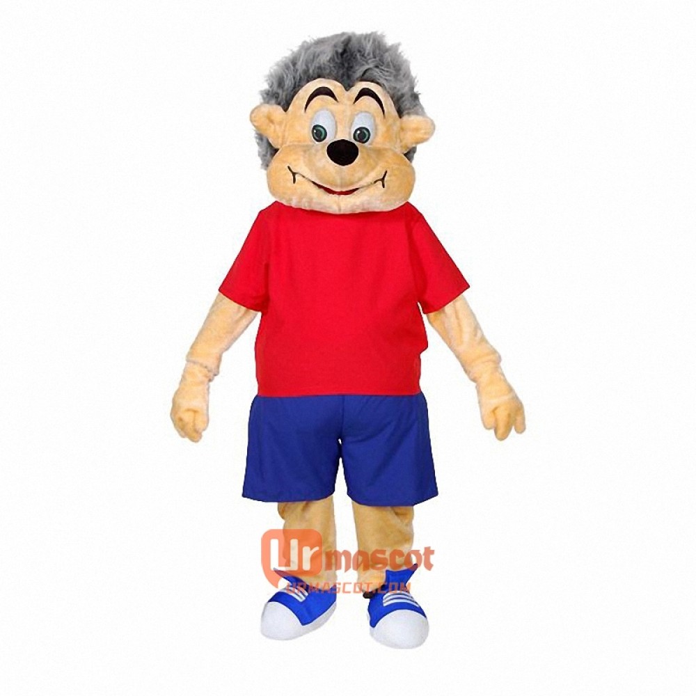 Mr Hedgehog Mascot Costume Cosplay Outfits