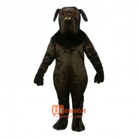 Newfoundland Cartoon Costume Mascot