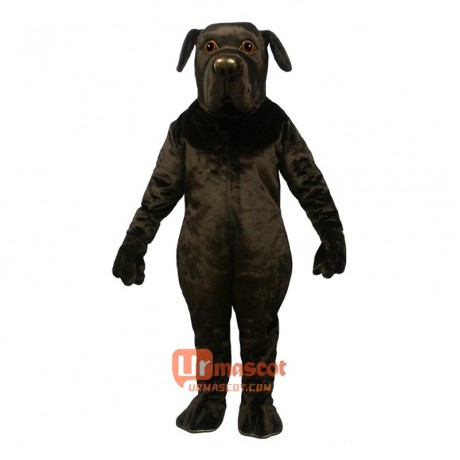 Newfoundland Cartoon Costume Mascot