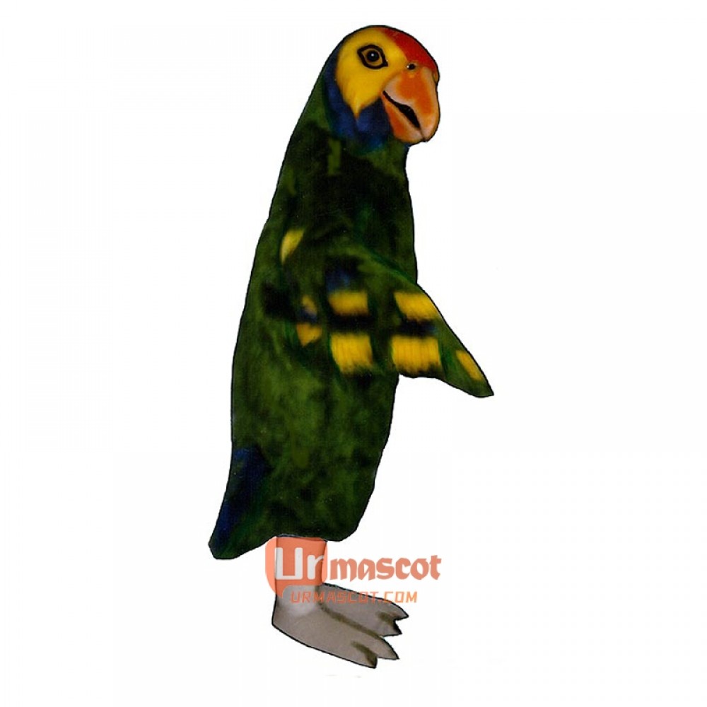 Parrot Cartoon Costume Mascot