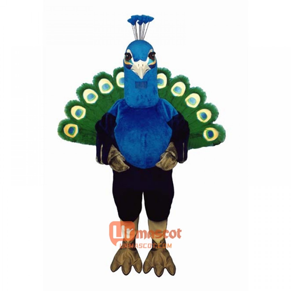 Peacock Cartoon Costume Mascot
