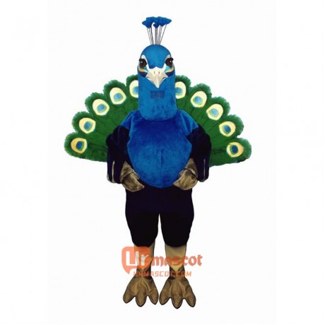 Peacock Cartoon Costume Mascot