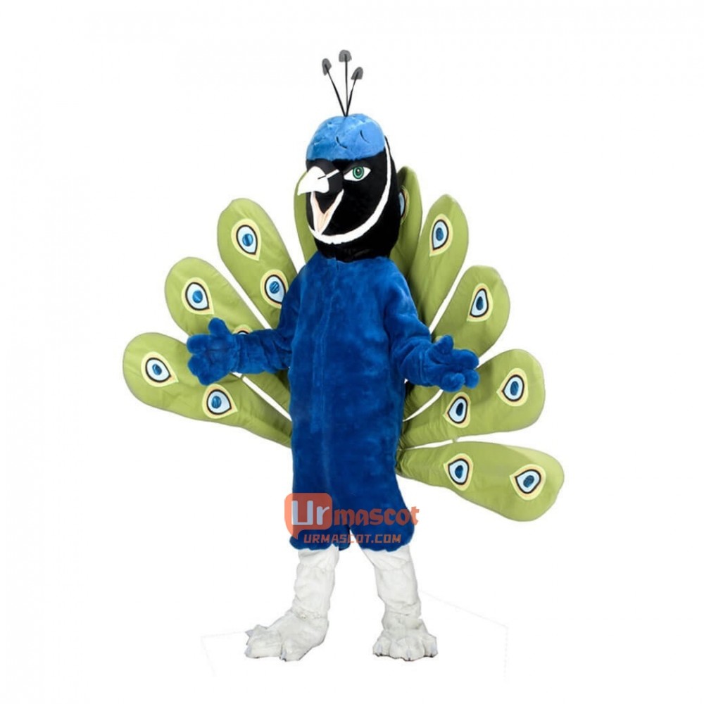 Peacock Custom Cartoon Mascot Costume Free Shipping
