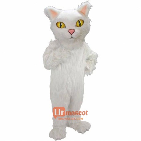 Persian Cat Mascot