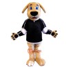 Pet Valu Mascot Costume Cosplay Outfits