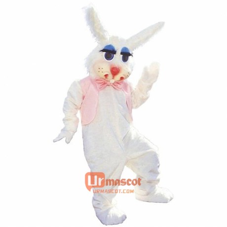 Peter Rabbit Cartoon Mascot Costume Cosplay Outfits