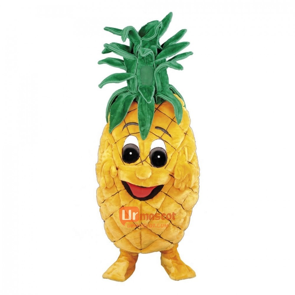 Pineapple Custom Cartoon Mascot Costume