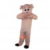 Pink Pig Cartoon Mascot Costume Plush with Mask