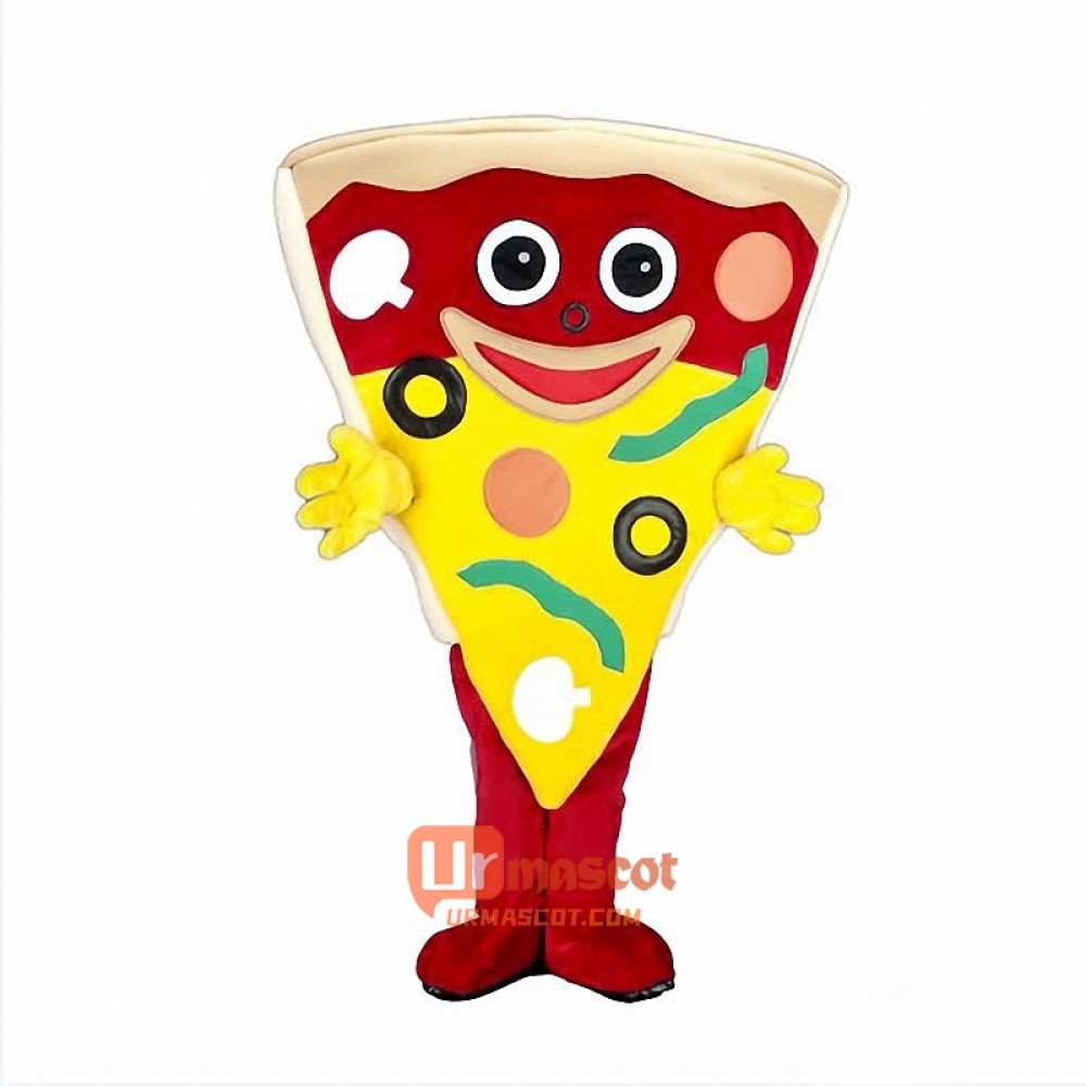 Pizza Custom Cartoon Mascot Costume