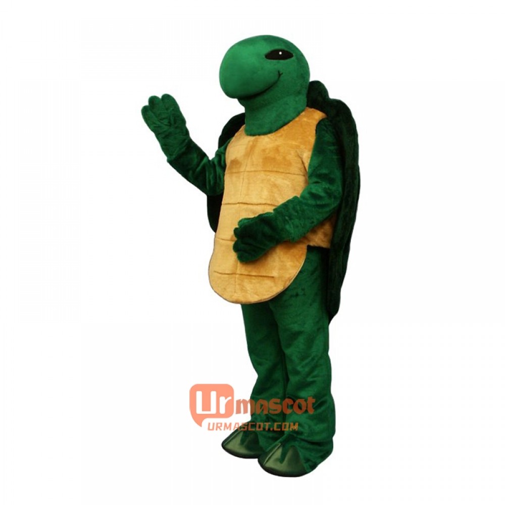 Pond Turtle Mascot Cartoon Costume