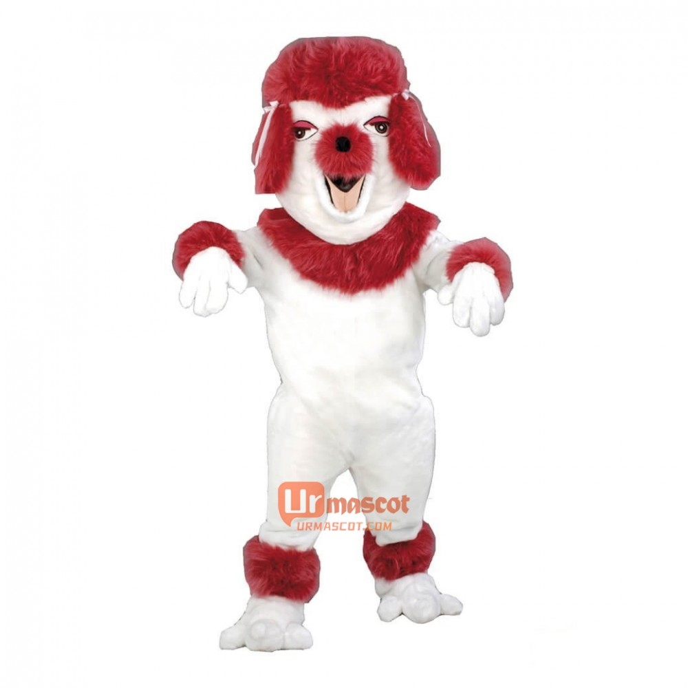 Poodle Dog Custom Cartoon Mascot Costume