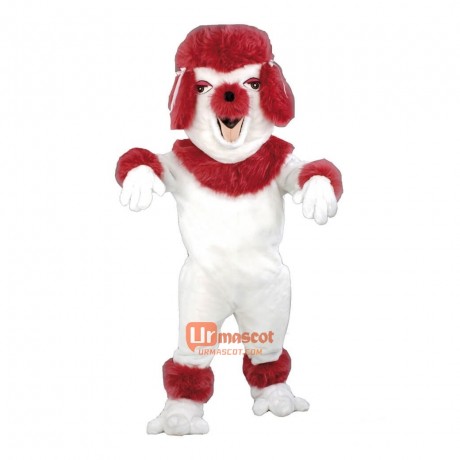 Poodle Dog Custom Cartoon Mascot Costume