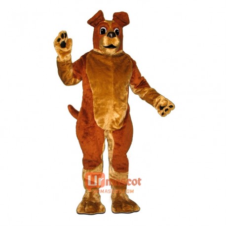 Pound Puppy Cartoon Costume Mascot